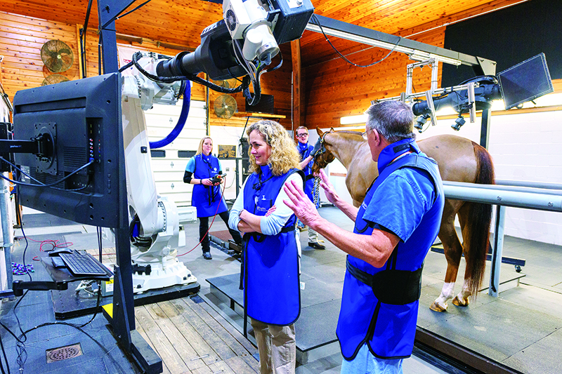 2019 Willowdale Steeplechase Beneficiaries and Sponsors The Hunt Magazine