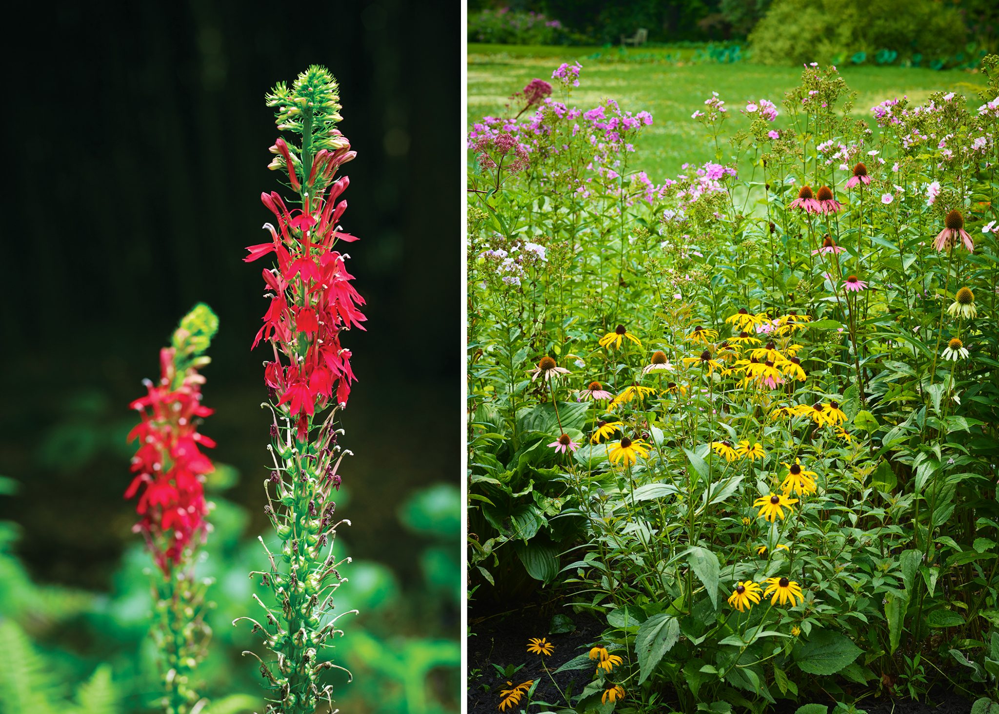 Chadds Ford's Hidden Oasis The Hunt Magazine