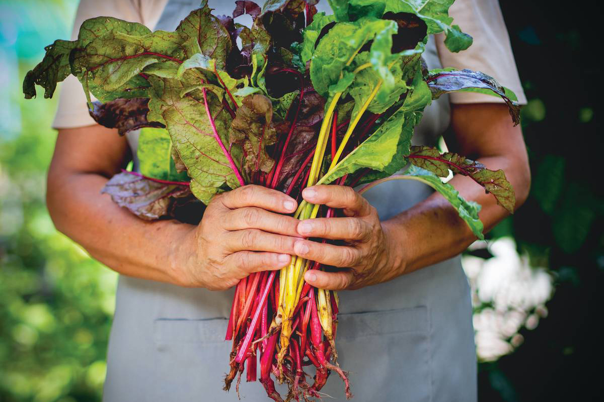 NanoFarming Grows in Popularity Across Delaware and the Main Line